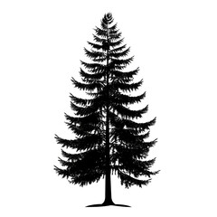 Obraz premium christmas tree silhouettes, christmas tree isolated on white