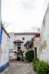Fototapeta premium street of the medieval village of Óbidos in Portugal