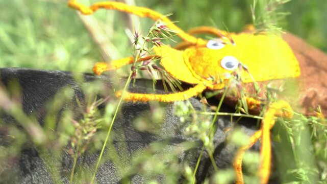 Close-up dachshund dog in grass with cartoon toy soft tick crawling on back, advertisement for veterinary vaccine Danger of contracting encephalitis, piroplasmosis from parasite carriers in nature