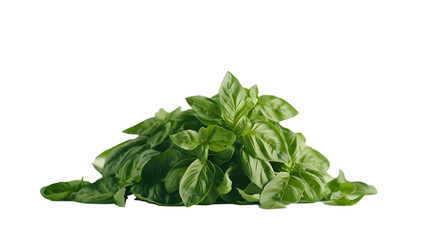 A Fresh Pile of Green Basil Leaves on a Soft Green Background