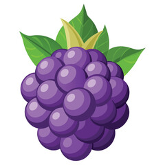 blackberry vector, vibrant and juicy fruit designs