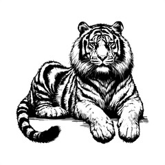 Fototapeta premium Tiger in black and white animal drawing,