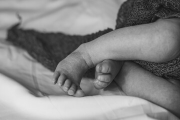 newborn baby feet