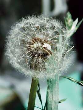 Processed with VSCO with j5 preset