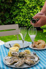 Fresh french oysters molluscs from Arcachon bay served on oysters farm in Gujan-Mestras, with lemon, baquette bread, butter and champagne dry wine