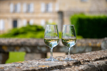 Glasses of white wine in old wine domain on Sauternes vineyards in Barsac village and old castle on background, Bordeaux, France