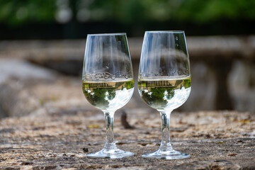 Glasses of white wine in old wine domain on Sauternes vineyards in Barsac village and old castle on background, Bordeaux, France