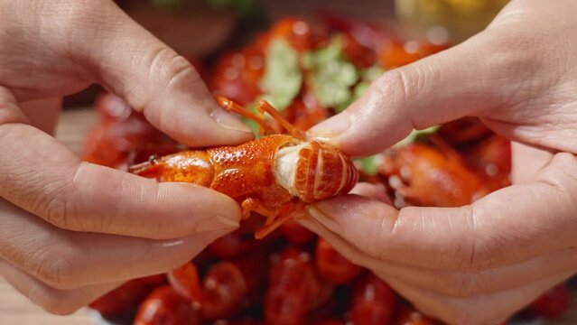  closeup of peel crawfish tail with hand