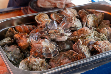 Fresh raw oysters shellfish on ice on market