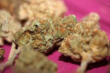 Cannabis various buds super private collection medical marihuana grass mania macro background high...