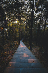 A Taste of Shenzhen - Wutong Mountain