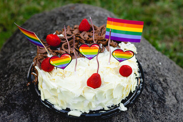 gay pride cake in the park