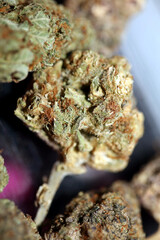 Cannabis various buds super private collection medical marihuana grass mania macro background high quality focus stack fifty megapixels printings