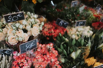 Flower Market in Paris