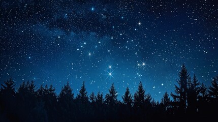 Naklejka premium The night sky, radiant with sparkling stars.