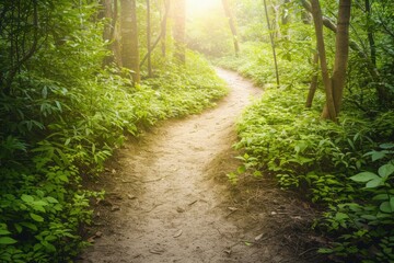 Fototapeta premium Sunlit forest path with lush greenery during daytime creates a peaceful and serene atmosphere perfect for nature walks and exploration.