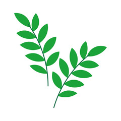 Leaves tree branch icon isolated