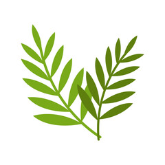 Leaves tree branch icon isolated on white background