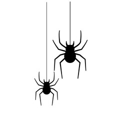 Spider silhouette Black closeup insect scary big spider isolated on white