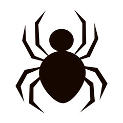 Spider silhouette Black closeup insect scary big spider