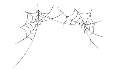 Hand drawn spiders web set on white background