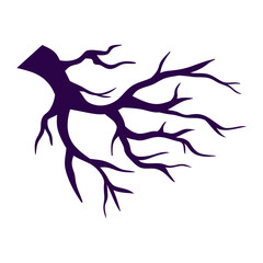 Trees branch silhouette isolated on white background