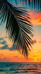 Sunset view through palm leaves over ocean