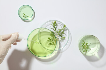 A hand of researcher wears white gloves is holding a dropper, few glass petri dishes of liquid...