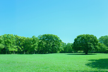 Green Park