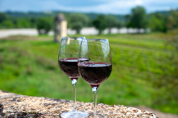 Glasses of french dry red wine in old wine domain on Graves vineyards in Portets village and old castle on background, Bordeaux, France