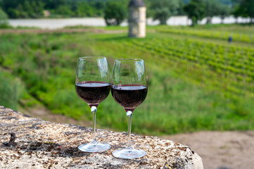 Glasses of french dry red wine in old wine domain on Graves vineyards in Portets village and old castle on background, Bordeaux, France