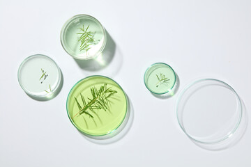 Over the white background, some laboratory petri dishes filled with green liquid and have tea tree...