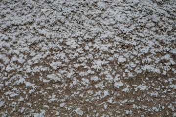 Gray rough cement surface, close-up photo