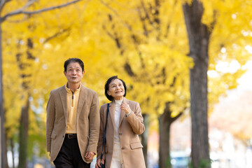 イチョウ並木を散歩するシニア夫婦