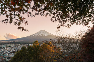 Mount Fuji view in Autumn season, colorful fall foliage leaves at Chureito Pagoda, Yamanashi, Japan. Landmark for tourists attraction. Japan Travel, Destination, Vacation and season change concept