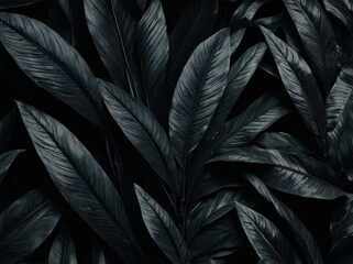 Abstract black leaf textures dark tropical nature background with flat lay design.