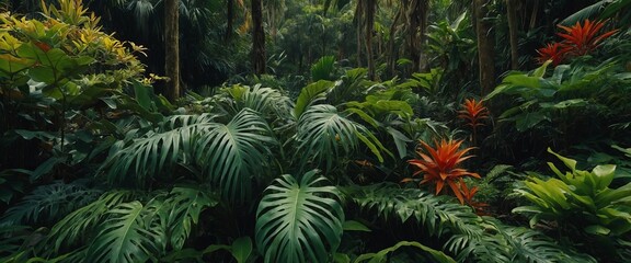 Fototapeta premium Amidst the canopy of tropical plants, a kaleidoscope of colors unfolds, inviting you to immerse yourself in the beauty of nature from a new vantage point.