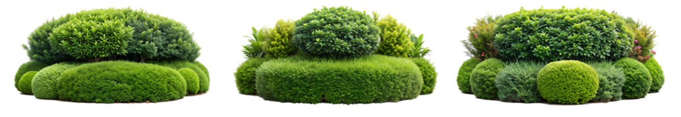 set of trimmed garden bush and plant arrangements with lush green grass, park hedges ,isolated on a transparent background.