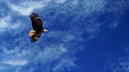 Eagle SoaringAmerican Flag in Patriotic Aerial Display - 69 characters.