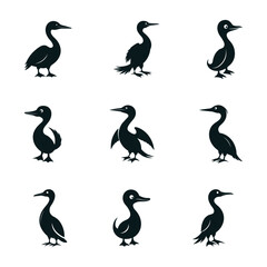 Obraz premium Galapagos Cormorant Silhouette - Vector Icon Art