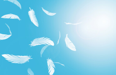 Abstract Many White Bird Feathers Floating in A Blue Sky. Softness of Feathers Falling in Heavenly. 
