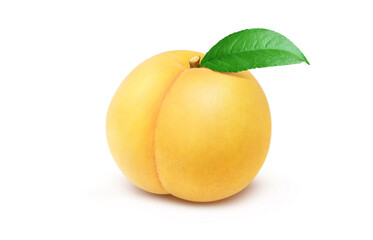 黄金桃のイラスト リアル 白バック