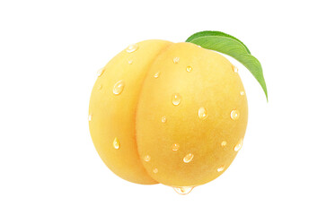 黄金桃のイラスト リアル 白バック