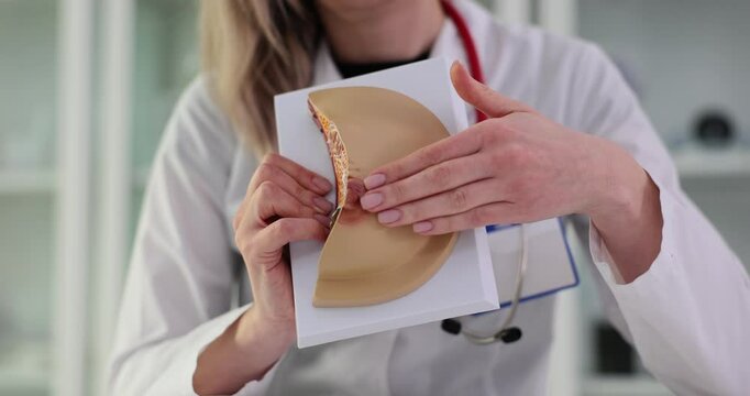 Doctor palpates artificial breast to detect irregularities
