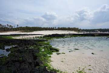 mossy rock beach and clear water