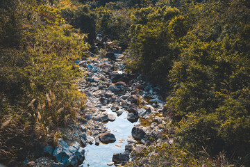 A Taste of Shenzhen - Dapeng