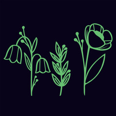 Hand-drawn floral illustration