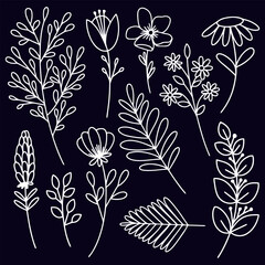 Hand-drawn floral illustration