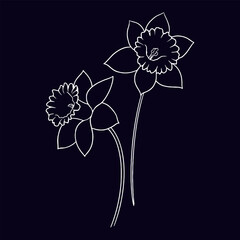 Hand-drawn floral illustration