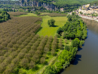 Obraz premium Aerial view on Dordogne river near .La Roque-Gageac village located in Dordogne department in southwestern France, walnuts tree plantation